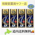 【第1類医薬品】リアップＸ５チャ