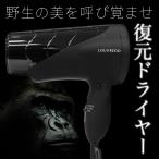 復元ドライヤー (先端ノズル・マニュアル付) 復元DRYER 正規品 1年間メーカー保証有ヘア フェイス ボディ ケア