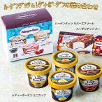 ハーゲンダッツ&レディーボーデンの詰め合わせ R950T スイーツ アイスクリーム / お取り寄せ 通販 プレゼント ギフト お中元 おすすめ / 爆買