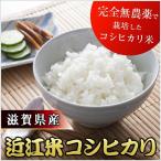 令和5年度産 新米 こしひかり 滋賀県産 近江米 コシヒカリ 10kg 無農薬 有機肥料 お取り寄せ お米 ギフト ギフト プレゼント 特産品 母の日 おすすめ