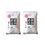 新潟県産 こしひかり 2.5kg×2 お米 常温 お取り寄せ お土産 ギフト プレゼント 特産品