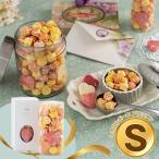 ホワイトデー 2026 早割 P5倍 東京 マカロン・エ・ショコラ マカロンボーロ プランタン S 紙袋付き スイーツ 洋菓子 チョコ ギフト プレゼント おすすめ