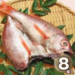  Shimane .. высушенный горло .. открытие ...Bnodo Glo красный mtsu морепродукты сушеный продукт ваш заказ . земля производство подарок подарок специальный продукт рекомендация подарок на Bon Festival 