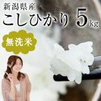 令和6年度産 無洗米5kg 新潟県産こしひかりのお米 / 常温 お取り寄せ お土産 ギフト プレゼント 特産品 母の日 おすすめ /