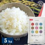 令和6年度産 岩手県産銀河のしずく 5kg 米匠庵のお米 精米 / 常温 お取り寄せ お土産 ギフト プレゼント 特産品 おすすめ /