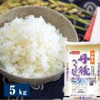 京都府丹後産こしひかり 5kg 米匠庵のお米 精米 / 常温 お取り寄せ お土産 ギフト プレゼント 特産品 おすすめ /