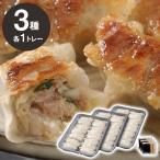 業務用 餃子 3種セット KNS-3 中華 点心 ぎょうざ ギョウザ【お届け不可地域：北海道・沖縄・離島】