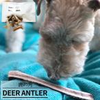 No.2 DEER ANTLER 鹿の角 1本 ペットフード ペットのおやつ ドッグフード キャットフード シカ ツノ【お届け不可地域：北海道・沖縄・離島】