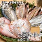 海鮮一汐開きセット 魚介 干物 お取り寄せ お土産 ギフト プレゼント 特産品 敬老の日 おすすめ