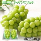 長野県産 シャインマスカット 2房 フルーツ 果物 お取り寄せ お土産 ギフト プレゼント 特産品 おすすめ