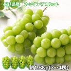 長野県産 シャインマスカット 1.8kg フルーツ 果物 お取り寄せ お土産 ギフト プレゼント 特産品 おすすめ
