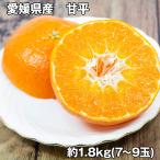 愛媛県産 甘平 1.8kg フルーツ 果物 お取り寄せ お土産 ギフト プレゼント 特産品 お歳暮 おすすめ