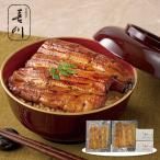 お中元 2025 P5倍 神田明神下 喜川 浜名湖産 手焼きうなぎ蒲焼 HT2-KK 鰻 蒲焼き_525 ギフト プレゼント 特産品 おすすめ