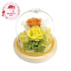  День матери подарок 2026 подарок скидка за ранний заказ P10 раз драгоценности стекло купол orange B38435 1853-610 цветок ваш заказ рекомендация 