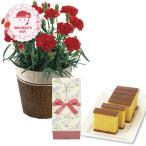 【母の日2026】カーネーションレッド4号&長崎かすてらセット 1853-999 フラワー 花 スイーツ お取り寄せ お土産 ギフト プレゼント 特産品 おすすめ