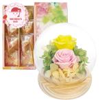  День матери подарок 2026 подарок скидка за ранний заказ P10 раз sphere купол организовать .. .. желтый & букет. десерт 6 штук подарок комплект 1854-674 ваш заказ рекомендация 