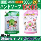ハンドソープ 薬用ハンドソープ詰め替え用 大容量10000ml セット 500mL×20個 選べる2タイプ 洗浄 殺菌 消毒 保湿 アロエエキス 日本製 送料無料