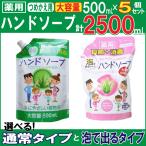 ハンドソープ 薬用ハンドソープ詰め替え用 大容量500mL 5個セット 選べる2タイプ 洗浄 殺菌 消毒 保湿 アロエエキス 日本製 送料無料