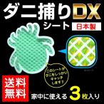 ショッピングダニ捕りシート ダニ捕りシートDX 3枚入 3カ月用 日本製 虫よけ 虫除け ダニ取り ダニシート メール便 送料無料 ゆうパケット