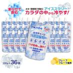 塩分チャージ アイススラリー 100g ×36個 水分補給 電解質補給 グレープフルーツ風味 無果汁 エブリサポート 爆買