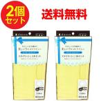 コルセット 産後 スタイリッシュコルセット ＬＬサイズ リフォームインナー 2個セット 送料無料