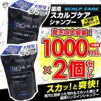 スカルプシャンプー 詰め替え 薬用 スカルプ 毛穴洗浄 頭皮ケア  メンズ リンスインシャンプー 1000ml 2個セット 大容量1リットル 詰替用 医薬部外品