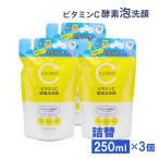 ショッピング洗顔 酵素洗顔料 泡タイプ ビタミンC誘導体 酵素泡洗顔 詰替 250ml ×3個 ビタミンＣ 柑橘系の香り 毛穴ケア 日本製