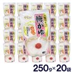 おかゆ レトルト お粥 梅がゆ 20袋セット 5,000ｇ 250ｇ×20袋 89kcal 保存用 粥 パウチ 御粥 送料無料