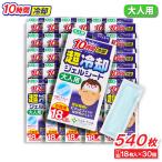 冷却シート 大人用 18枚入 ×30個 10時