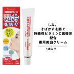 美白クリーム ビタミンc誘導体 配合 しみ そばかす を 防ぐ 薬用 クリーム 30g 日焼けによるシミ、そばかす 防ぐ 持続性 ビタミンc誘導体