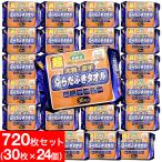 体拭きシート 超大判 超厚手 30枚入×24個セット 計720枚 からだふき 大判 ウエットティッシュ ぬれタオル 介護用品 防災グッズ ボディタオル 使い捨てタオル
