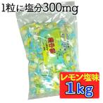 熱中飴 1kg 熱中対策キャンディー レモン塩味 塩飴 井関食品 業務用 徳用袋 1キロ入 クエン酸