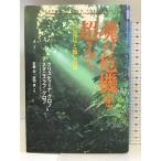  душа. . машина . супер .- сам обнаружение .... дорога весна осень фирма Stanislaw Glo f