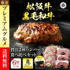 母の日 肉 牛肉 ハンバーグ 松阪牛 黒毛和牛 贅沢食べ比べセット  6個 (各3個) 高級 冷凍 惣菜 喜ばれるギフト