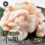 牛肉 肉 焼肉 超希少 黒毛和牛 小腸 ホルモン 国産 もつ