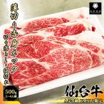 【A5等級BMS12限定】仙�