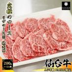 【A5等級BMS12限定】仙