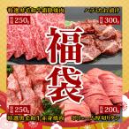 人気の焼肉用を詰め合わせたお得満足の福袋　福袋 3 送料無料 黒毛和牛 霜降り焼肉 250g 黒毛和牛 赤身焼肉 250g ハラミたれ漬け 300g 牛タン 200g お試し 焼肉 福袋 セット 詰合せ