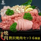 焼肉セット送料無料贅沢焼肉セット黒...