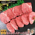 【最短発送1/13~1/15頃】和牛 A5 ミニ ヒレ ステーキ 400g 佐賀牛 宮崎牛 / 黒毛和牛 国産 フィレ