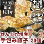 無添加 手作り 餃子 30個 / 九州産 惣