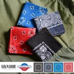 HAV-A-HANK - ba рукоятка k Stone woshupeiz Lee бандана носовой платок pocket square woshu обработка American Casual бренд [T]