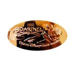  minnie 2019 Thor Lynn minnie. Hsu алый a медаль Tokyo Disney si-