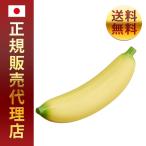  Play дерево шейкер banana FS-BNNl стандартный товар бесплатная доставка отправка в тот же день отметка PLAY WOOD начинающий рекомендация исполнение выпадение. хороший прозрачный . звук цвет o-ke -тактный la ударные инструменты 