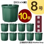 【10個セット】とんでもないポット 8号 CSM-240 モスグリーン スリット鉢 |正規品 送料無料 即日発送 ポイント