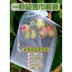 ぶどう袋 果実袋 100枚入 防鳥ネット防虫ネット 家庭菜園果物袋 果物保護バッグ葡萄園芸 ネット桃の袋 (透明, 25*35cm 100枚入)