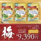 【福袋】スルフォラファン＆ギャバの恵み　肝機能　ALT値　3袋セット　2026年