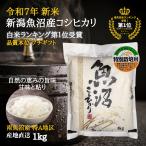 魚沼産コシヒカリ 新�