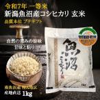 魚沼産コシヒカリ 新�