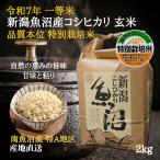 魚沼産コシヒカリ 新�